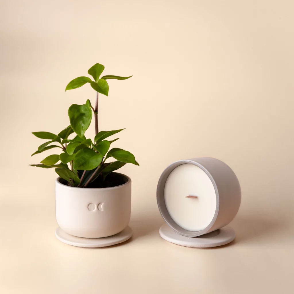 Blühende Keramikkerze - Zeder & Patchouli - 220g