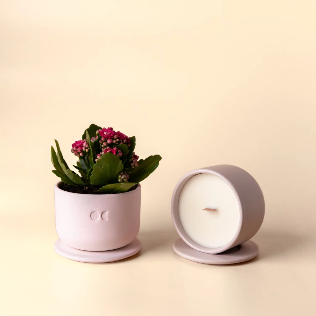 BOUGIE FLEURIE EN CéRAMIQUE – OUD & ROSES – 220G