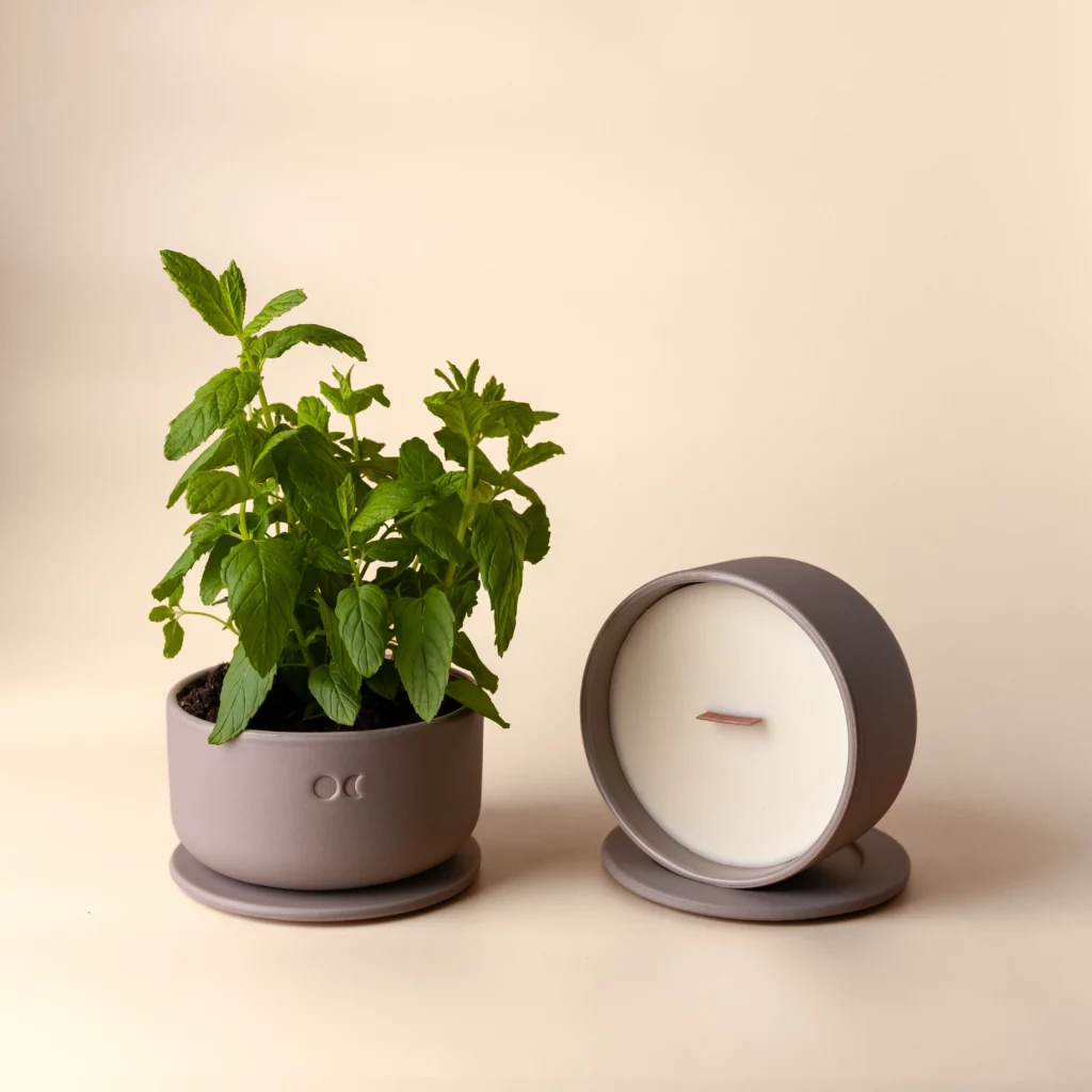 BLÜHENDE KERAMIKKERZE - TABAK & HONIG - 440G