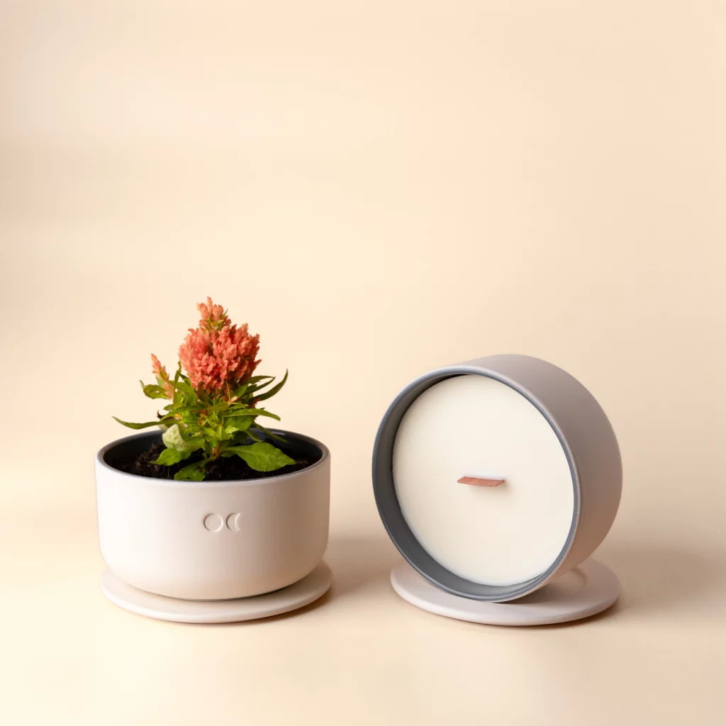 Bougie fleurie en céramique – Vétiver – 440g